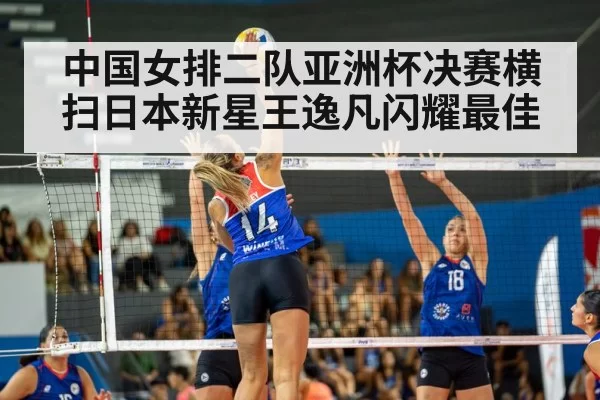 volleyball match action