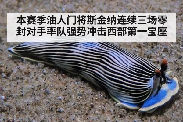 本赛季油人门将斯金纳连续三场零封对手率队强势冲击西部第一宝座