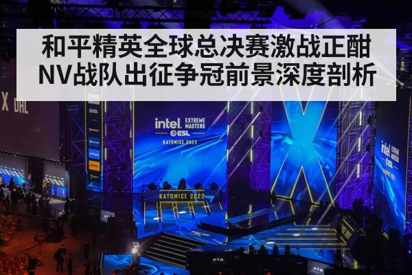 和平精英全球总决赛激战正酣 NV战队出征争冠前景深度剖析